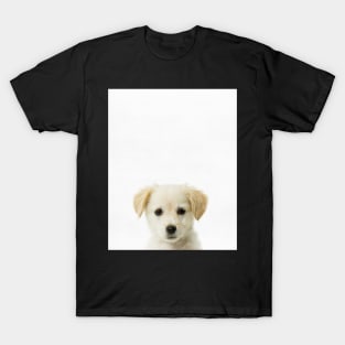 Puppy, Baby, Nursery, Animal, Kids room, Modern art, Wall decor T-Shirt